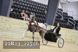 22R13_12596 proof