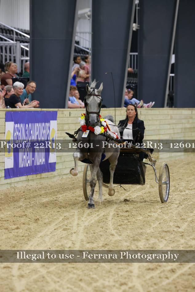 Proof 22R13_12601