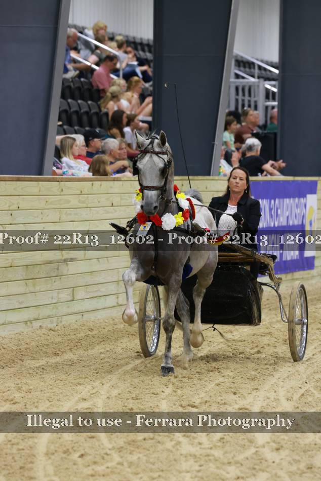Proof 22R13_12602