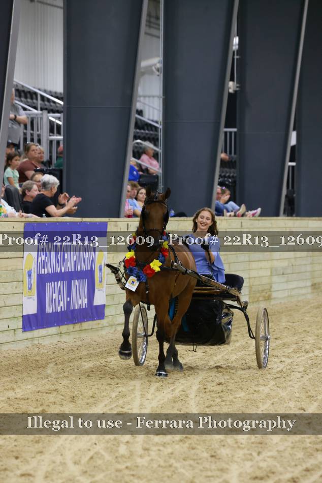 Proof 22R13_12609