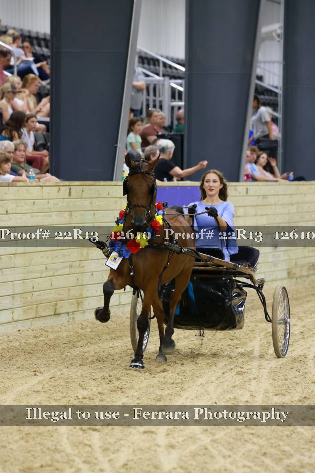 Proof 22R13_12610