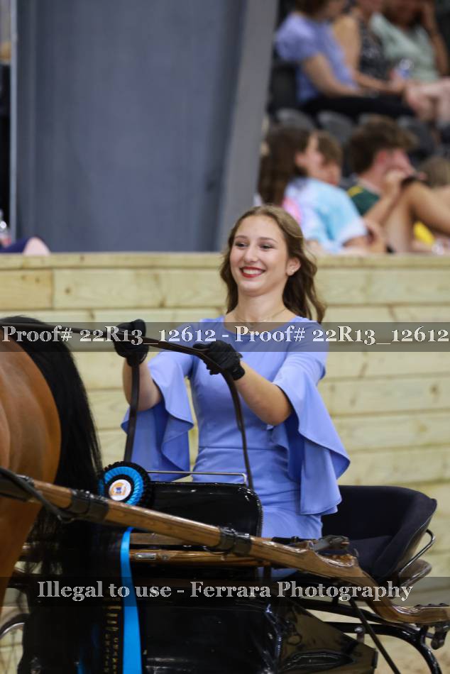 Proof 22R13_12612