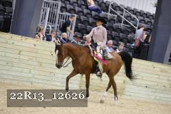 22R13_12626 proof