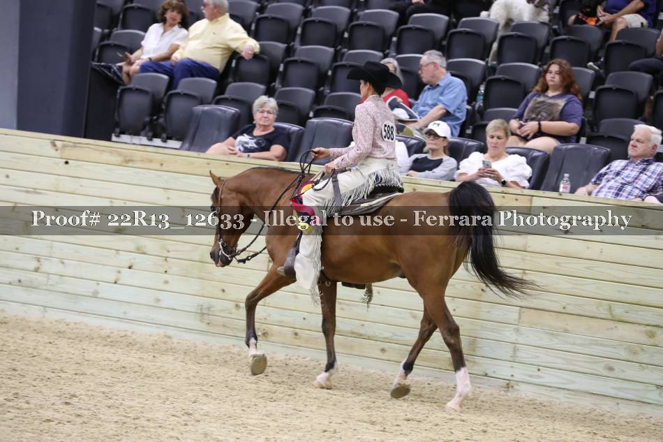 Proof 22R13_12633
