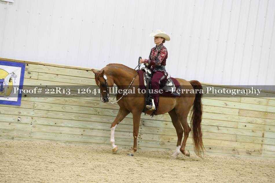 Proof 22R13_12641