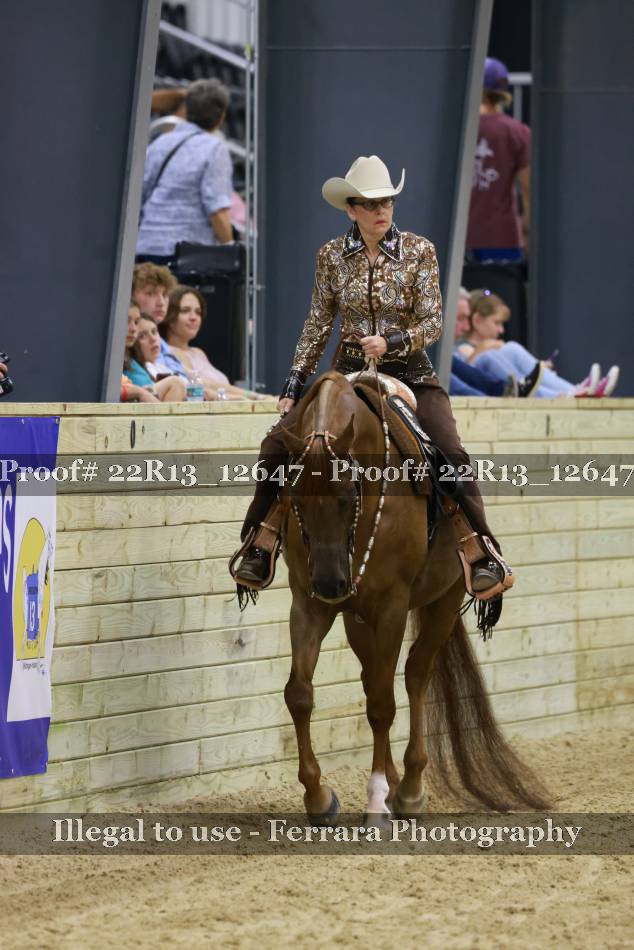 Proof 22R13_12647