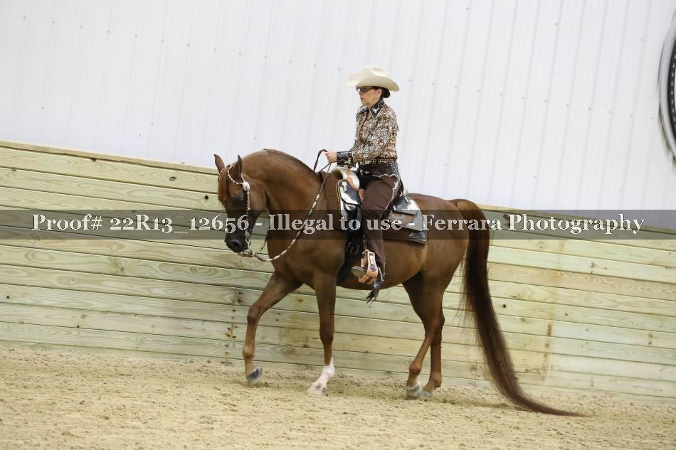 Proof 22R13_12656