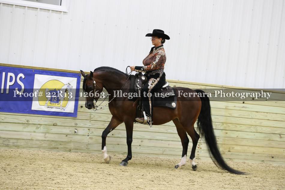 Proof 22R13_12663