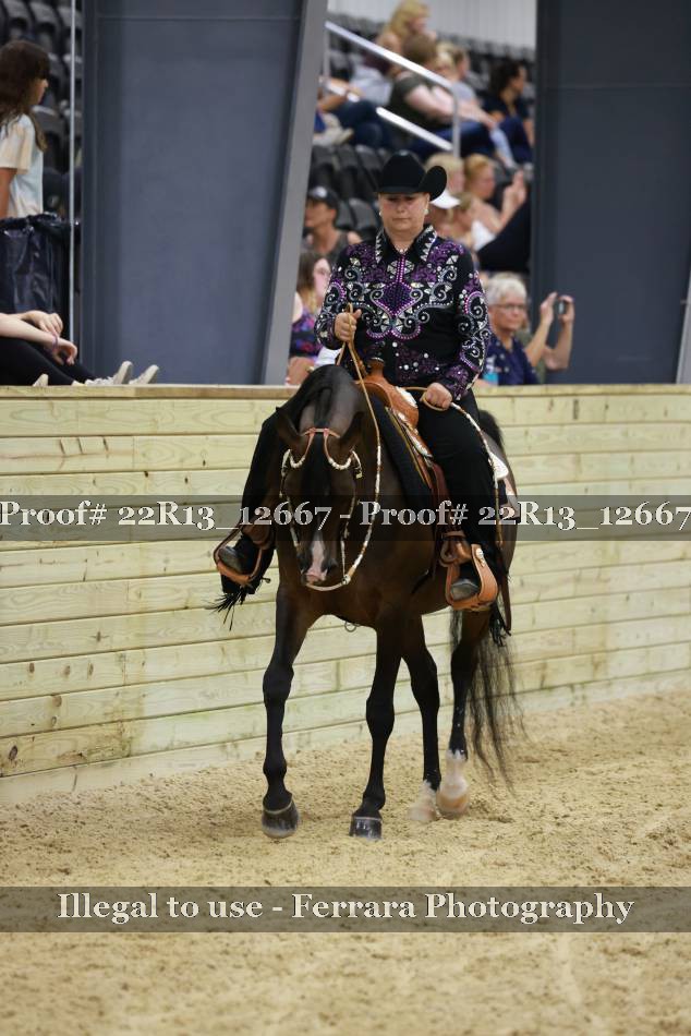 Proof 22R13_12667
