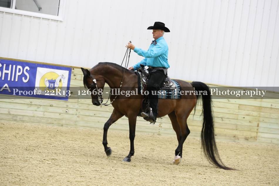 Proof 22R13_12668