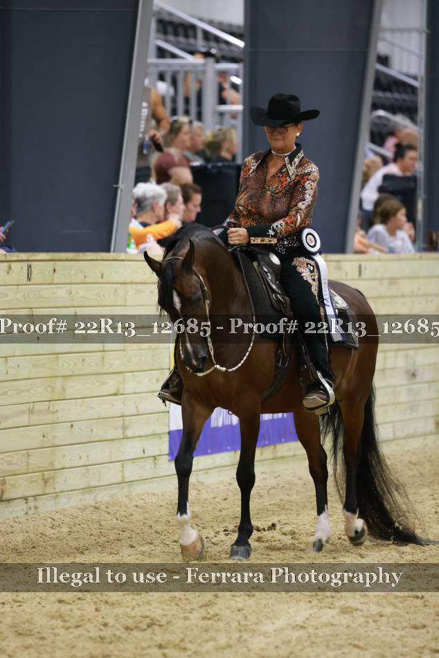 Proof 22R13_12685