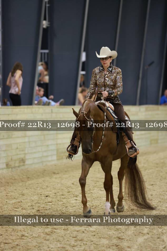 Proof 22R13_12698