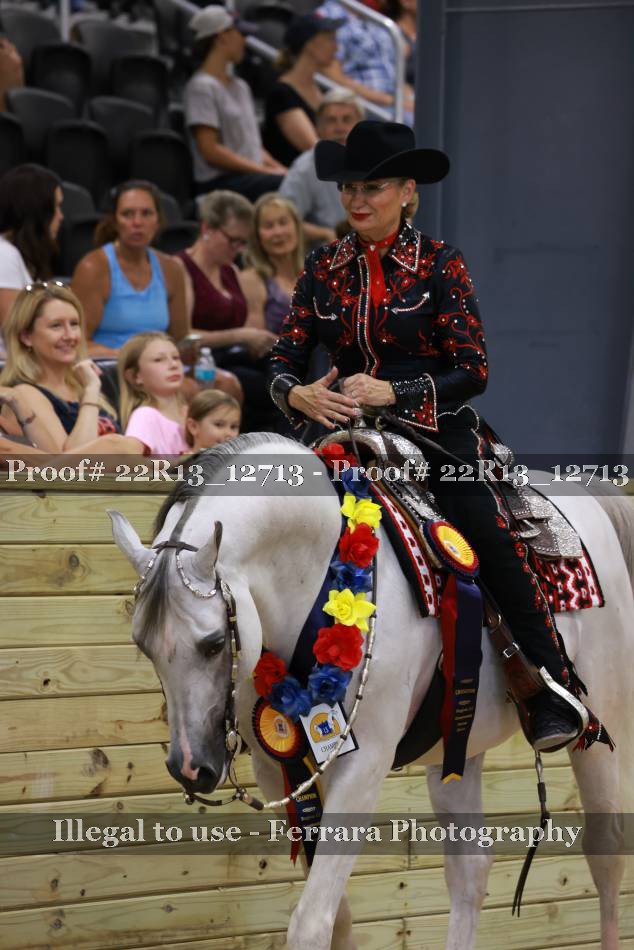 Proof 22R13_12713