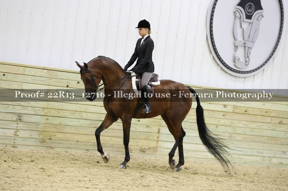Proof 22R13_12716