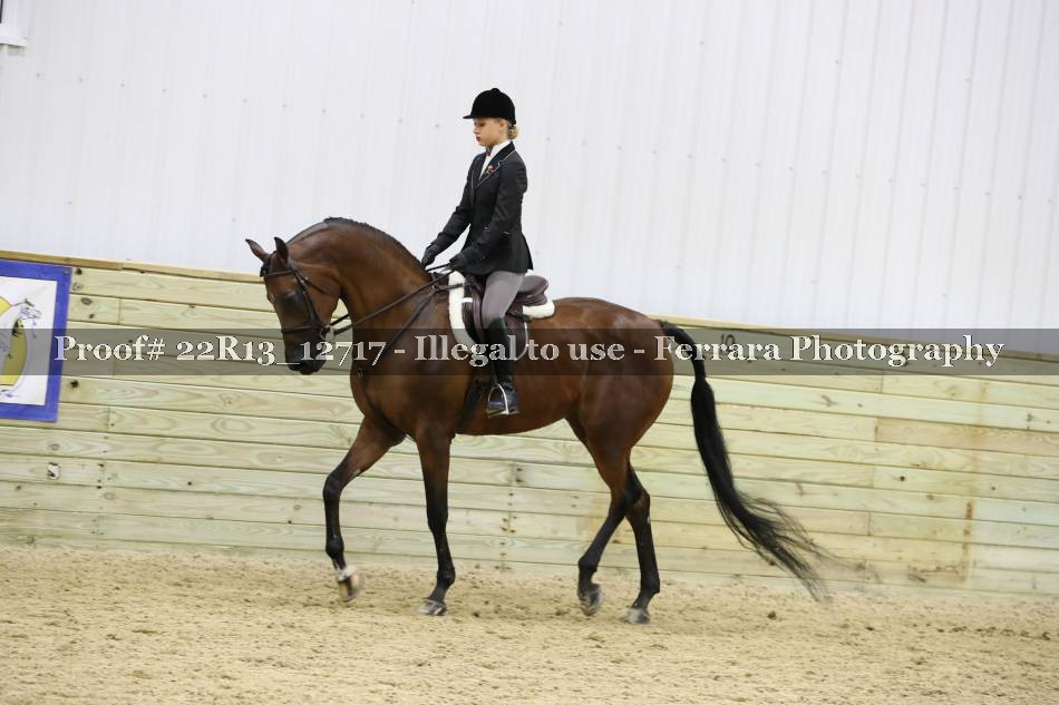 Proof 22R13_12717