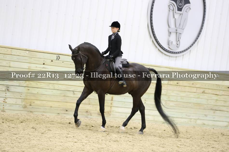 Proof 22R13_12723