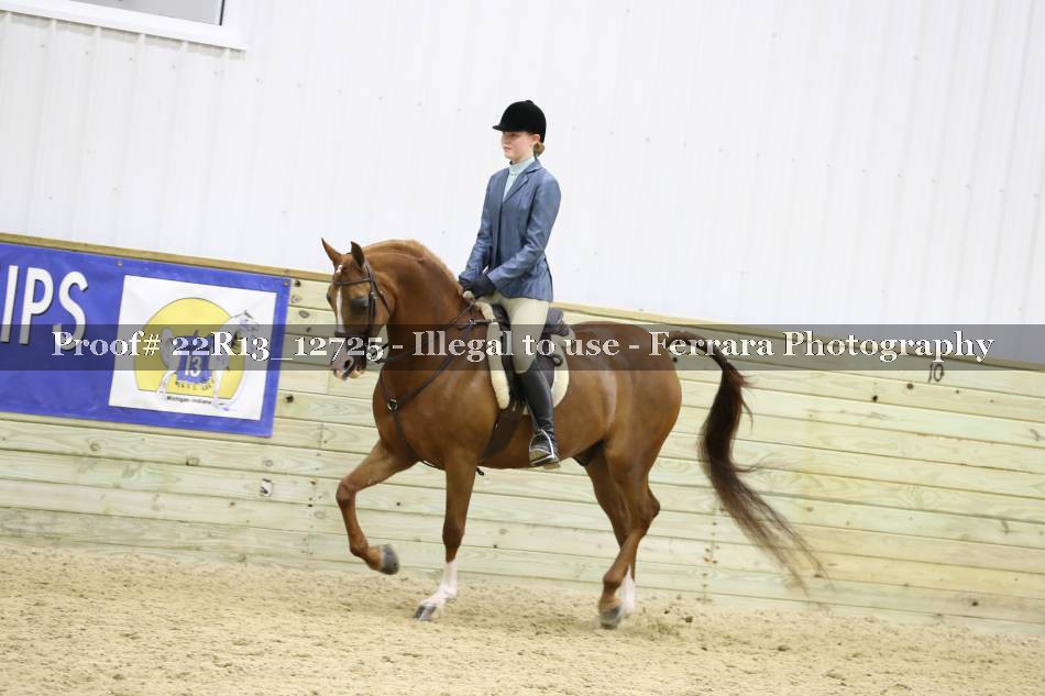 Proof 22R13_12725