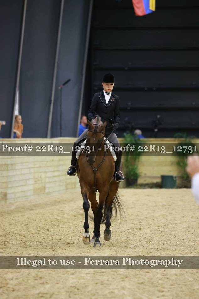 Proof 22R13_12731
