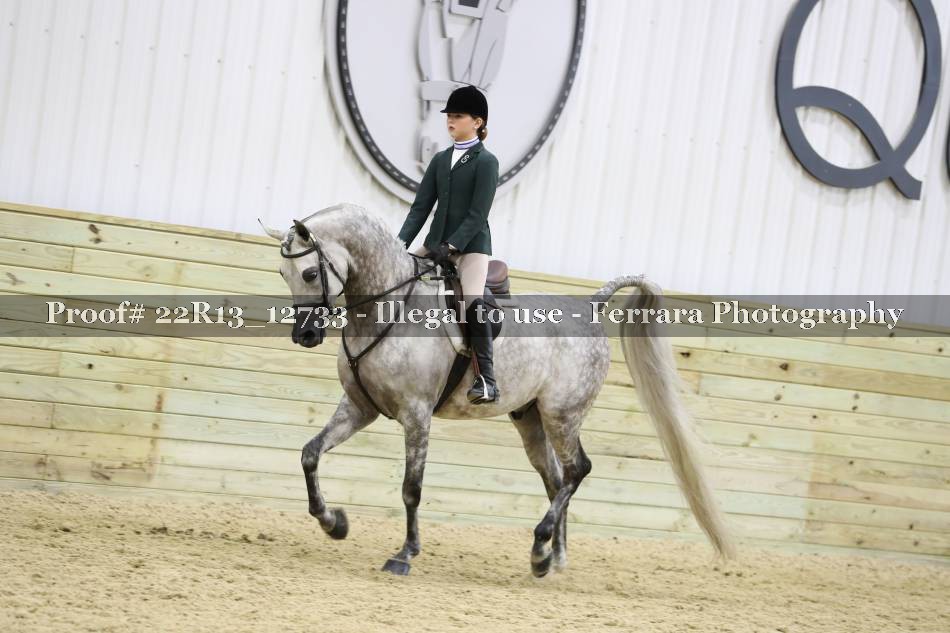 Proof 22R13_12733