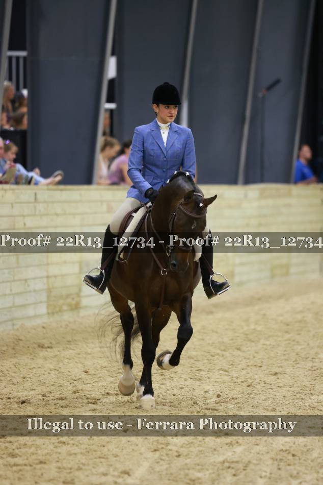 Proof 22R13_12734