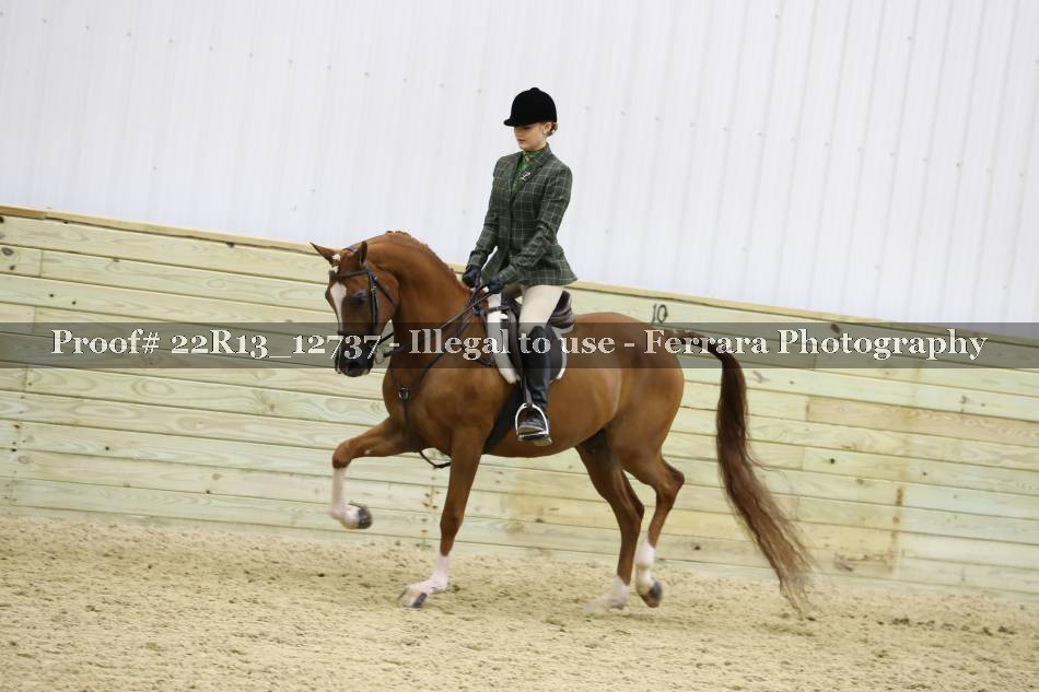 Proof 22R13_12737
