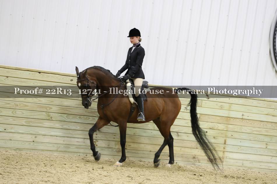 Proof 22R13_12741