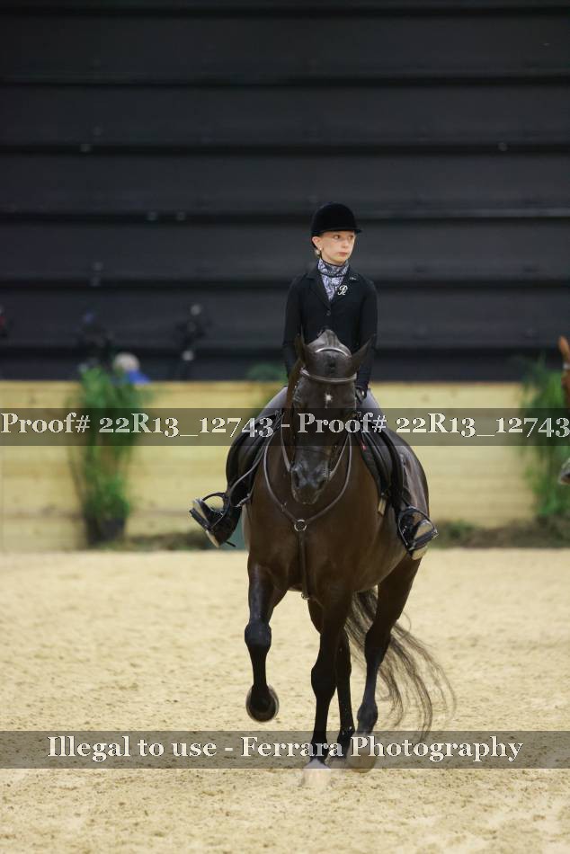 Proof 22R13_12743