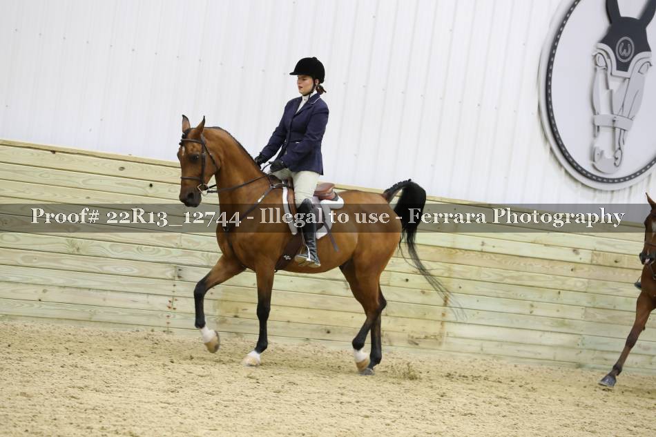 Proof 22R13_12744