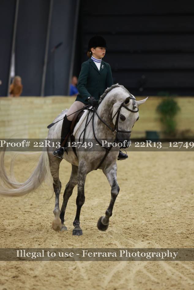 Proof 22R13_12749