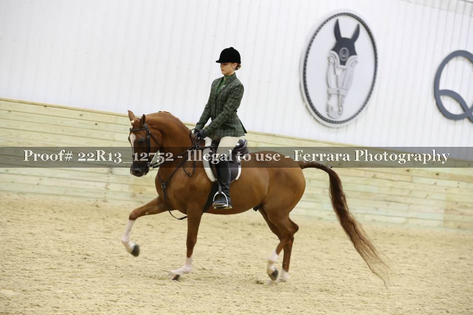 Proof 22R13_12752