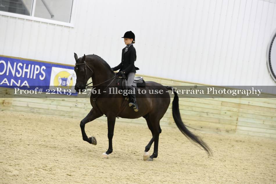 Proof 22R13_12761