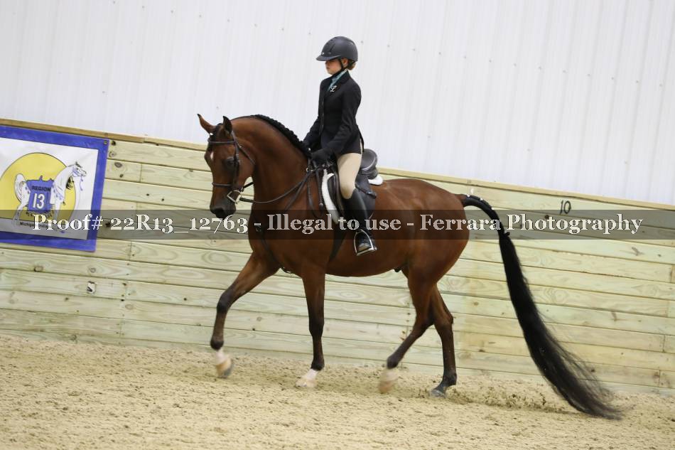 Proof 22R13_12763