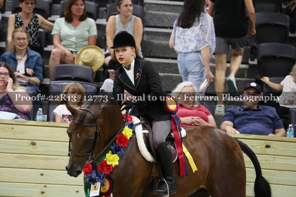 Proof 22R13_12773