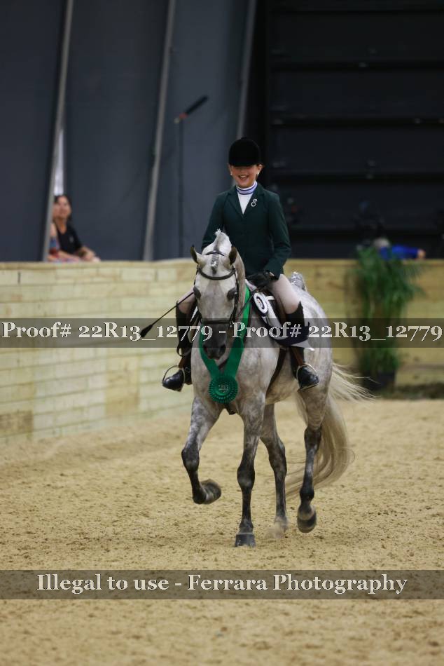 Proof 22R13_12779