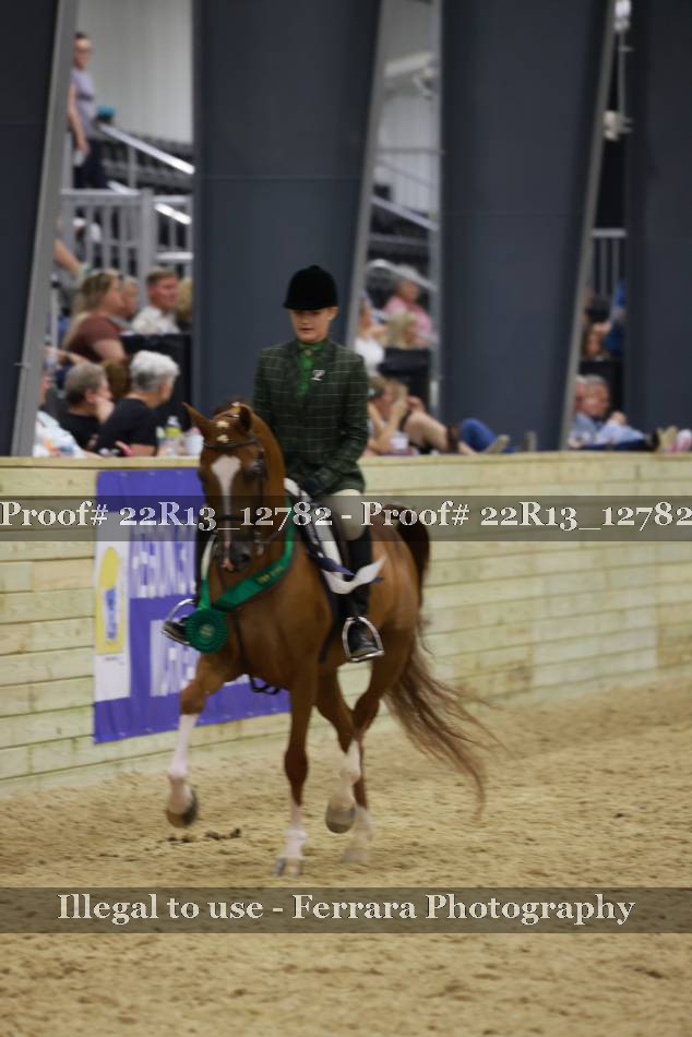 Proof 22R13_12782