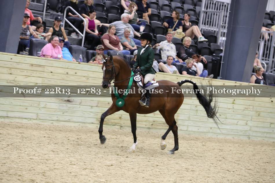 Proof 22R13_12783