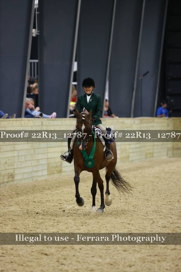Proof 22R13_12787