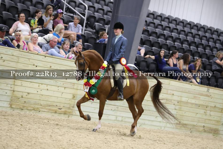 Proof 22R13_12788
