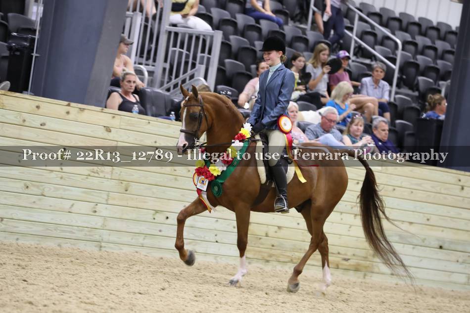 Proof 22R13_12789