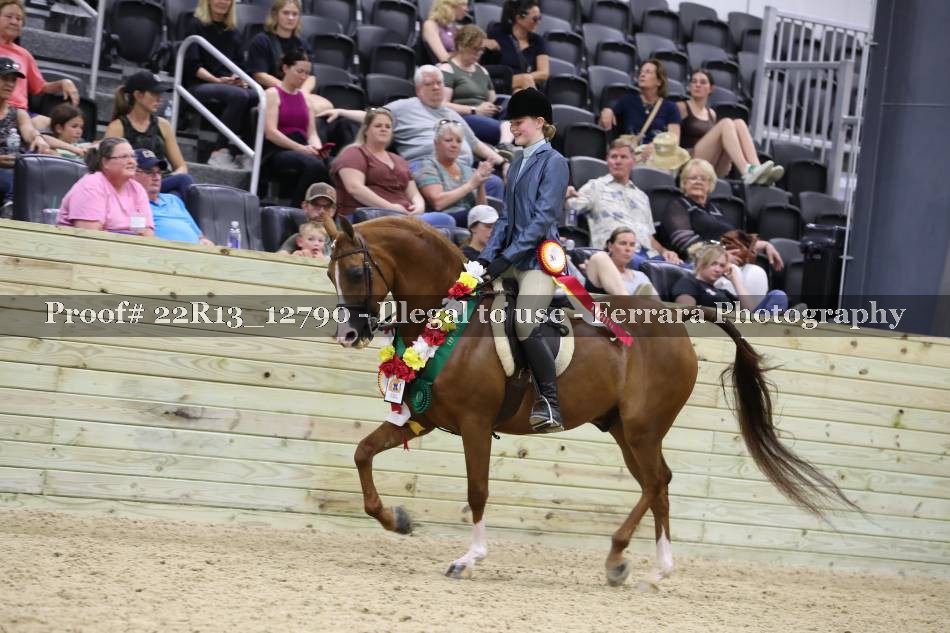 Proof 22R13_12790