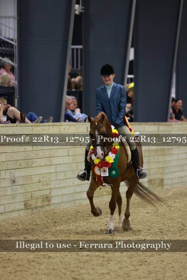 Proof 22R13_12795