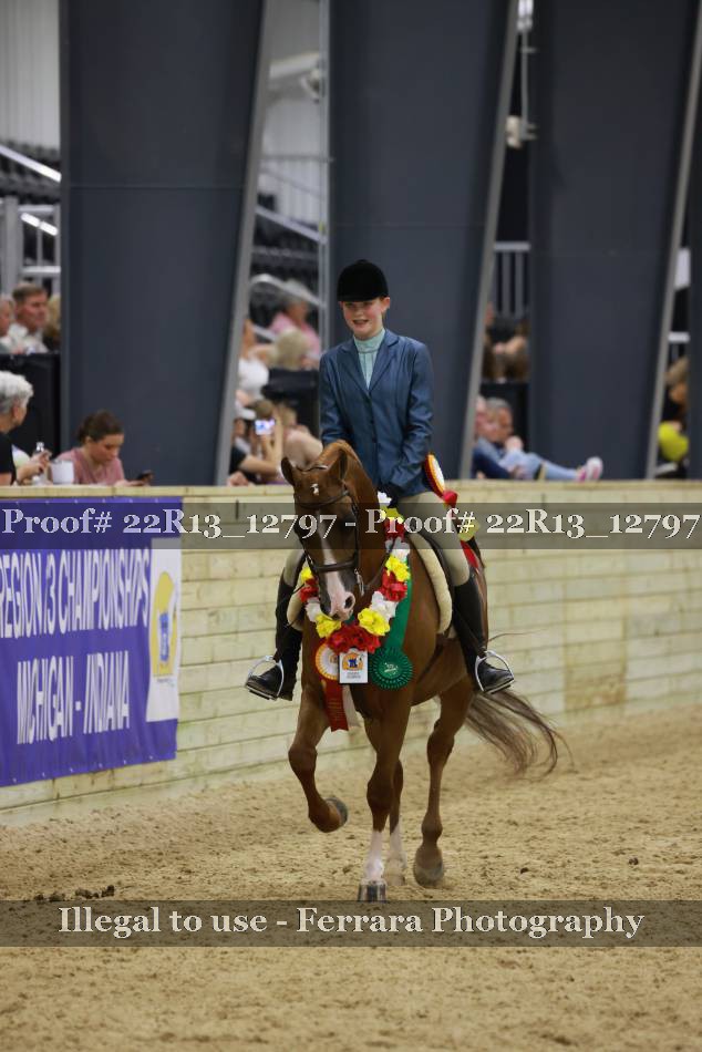 Proof 22R13_12797
