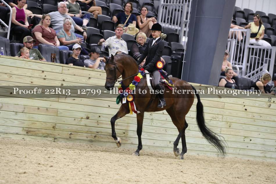 Proof 22R13_12799