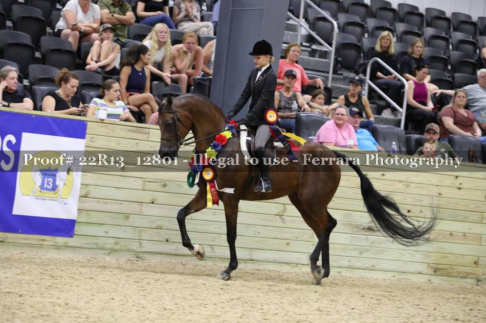 Proof 22R13_12801