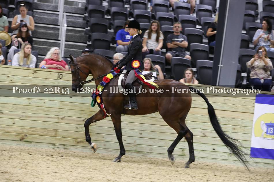 Proof 22R13_12804