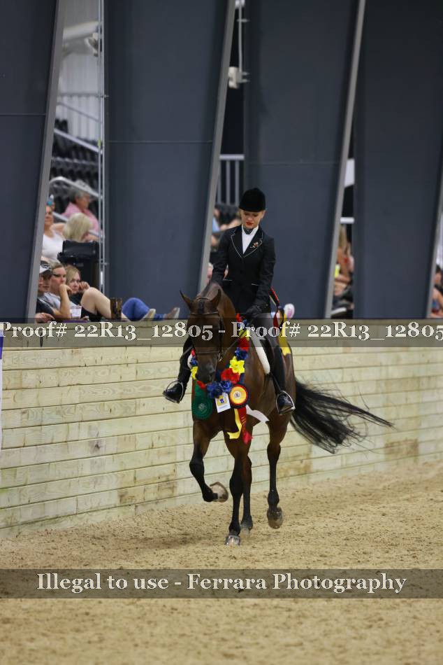 Proof 22R13_12805