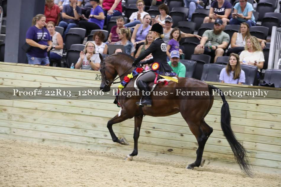 Proof 22R13_12806