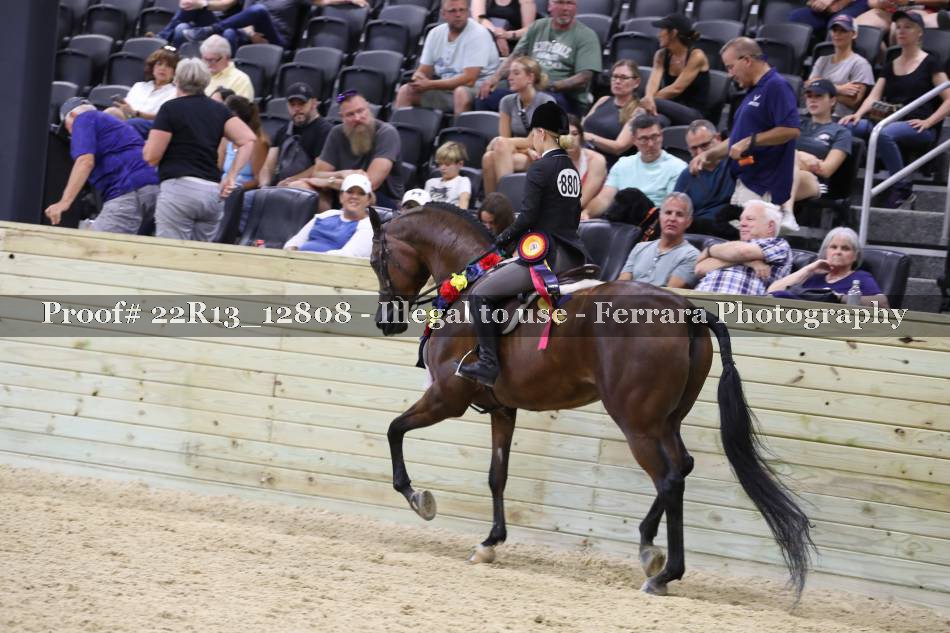 Proof 22R13_12808