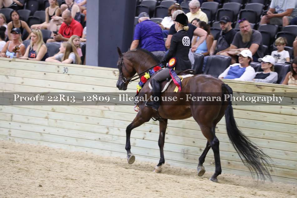 Proof 22R13_12809