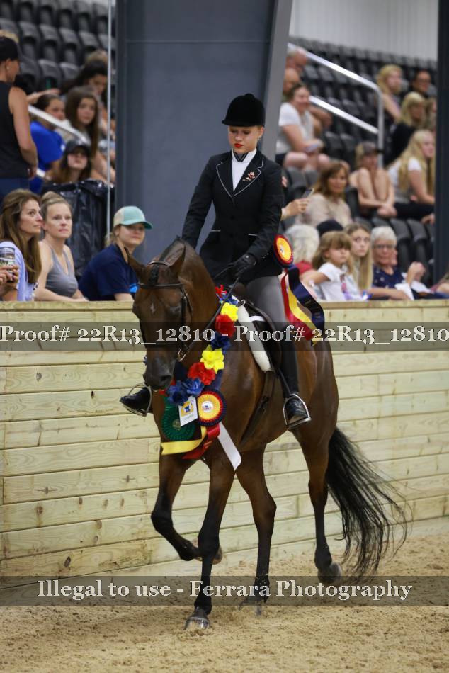 Proof 22R13_12810
